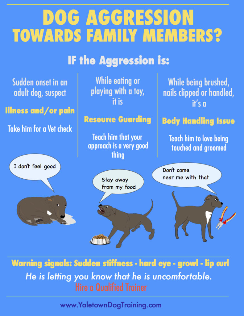 How to get rid of dog aggression towards other dogs Understanding Dog Aggression Towards Family Yaletown Dog Training